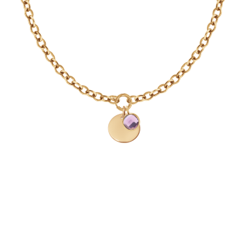 Collier chaîne n°1 avec médaille et quartz violet 